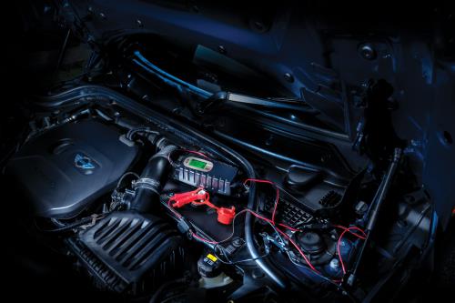 Maypole 5A (6V/12V) Electronic Smart Charger / Battery Charger MP7425 - Maypole7425CARCLOSEUP.jpg