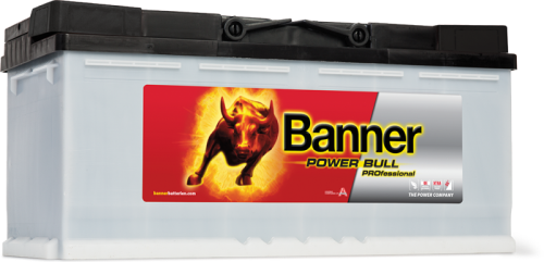 Banner Power Bull PROfessional Battery (431) PRO P100 40 - PRO-P100-40.png
