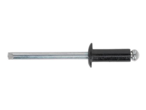 Sealey Aluminium Rivet Black Standard Flange 4.8 x 14mm x200 RAB4814S - RAB4814SImage1.jpg